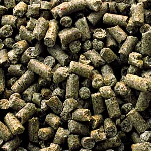 Garvo - 723 Jonge hanenkorrel, 20 KG